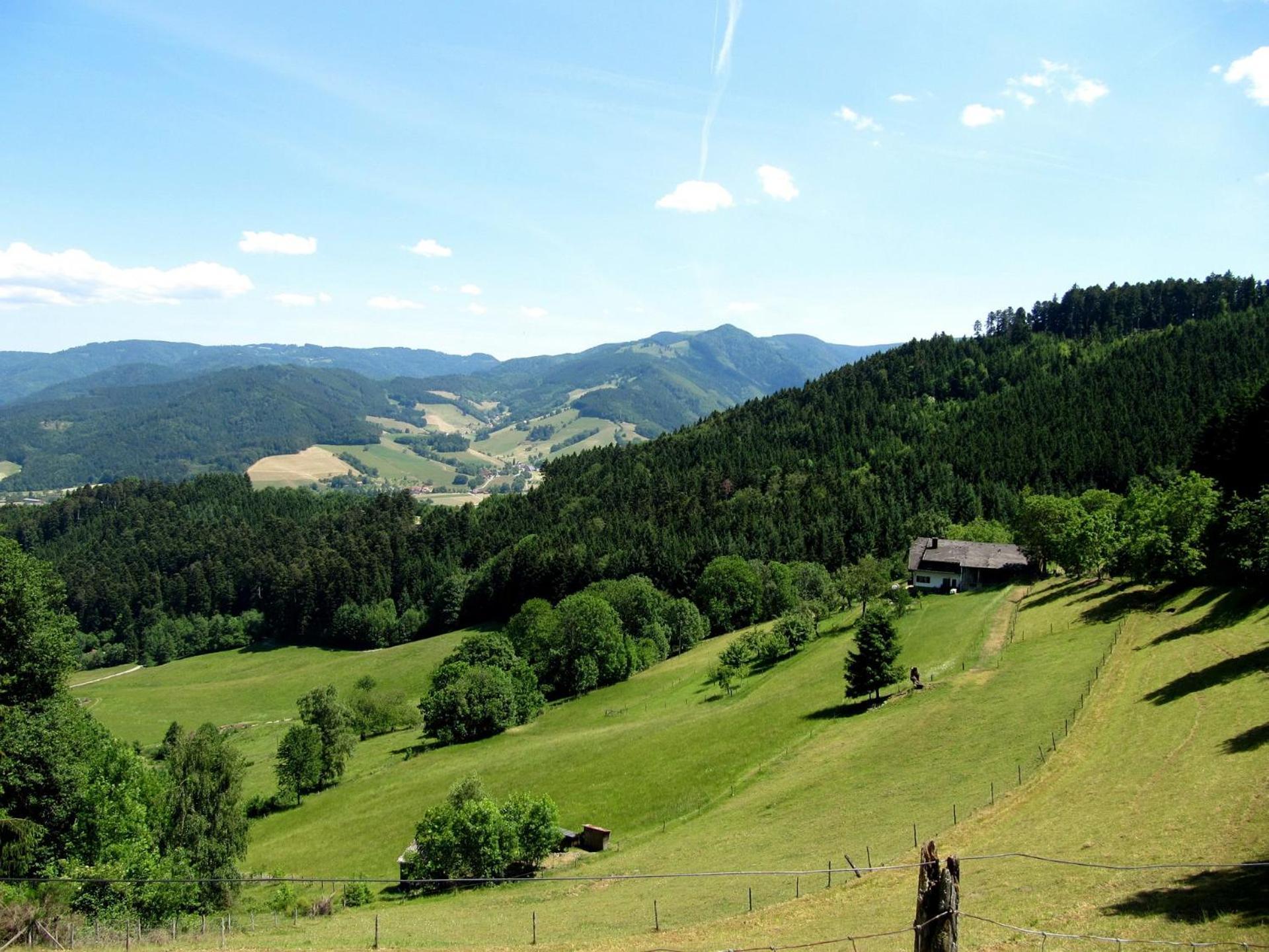 Ferienwohnung Weyl Eschbach  Bagian luar foto